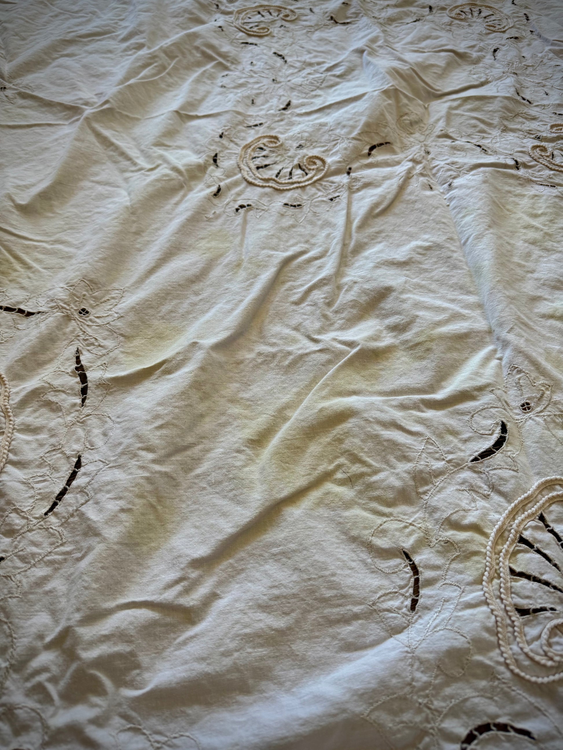 Close up of a discoloration on the tablecloth